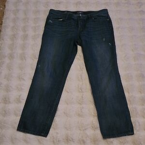 Ann Taylor Loft  Blue Relaxed Jeans with Lived-In Look Size 12 Boyfriend